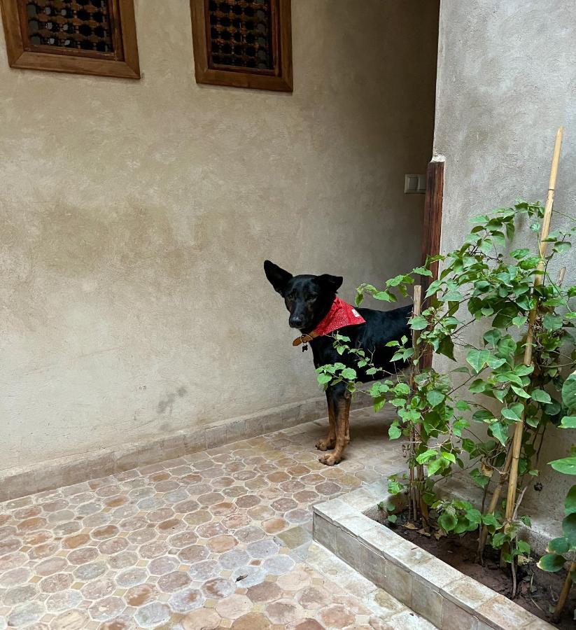 Riad Alena Marrakesch Exterior foto